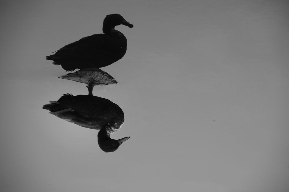 Photograph by Lyubov Agafonova