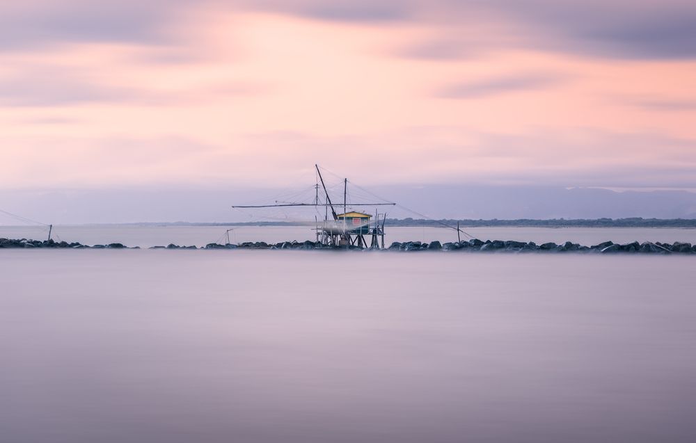 Photograph by ANDREA NIGRA