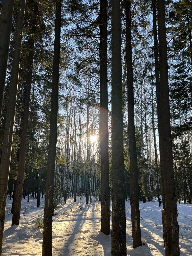 Photograph by Tatyana Ünal