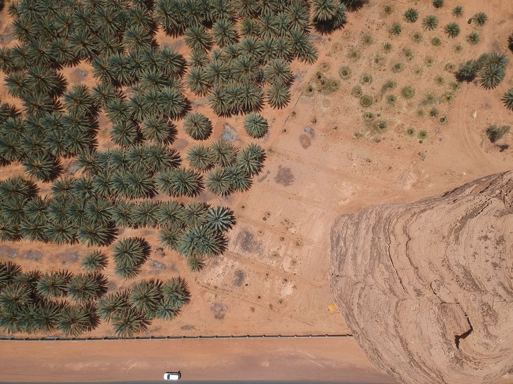 Photograph by MARY GRACE Montives