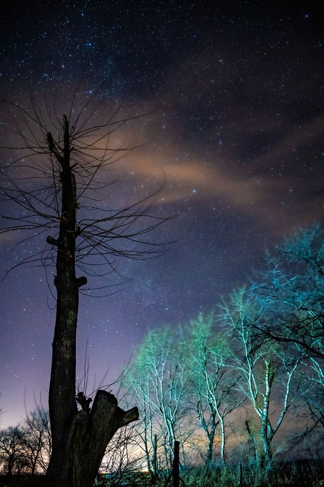 Photograph by Алексей Алексеев