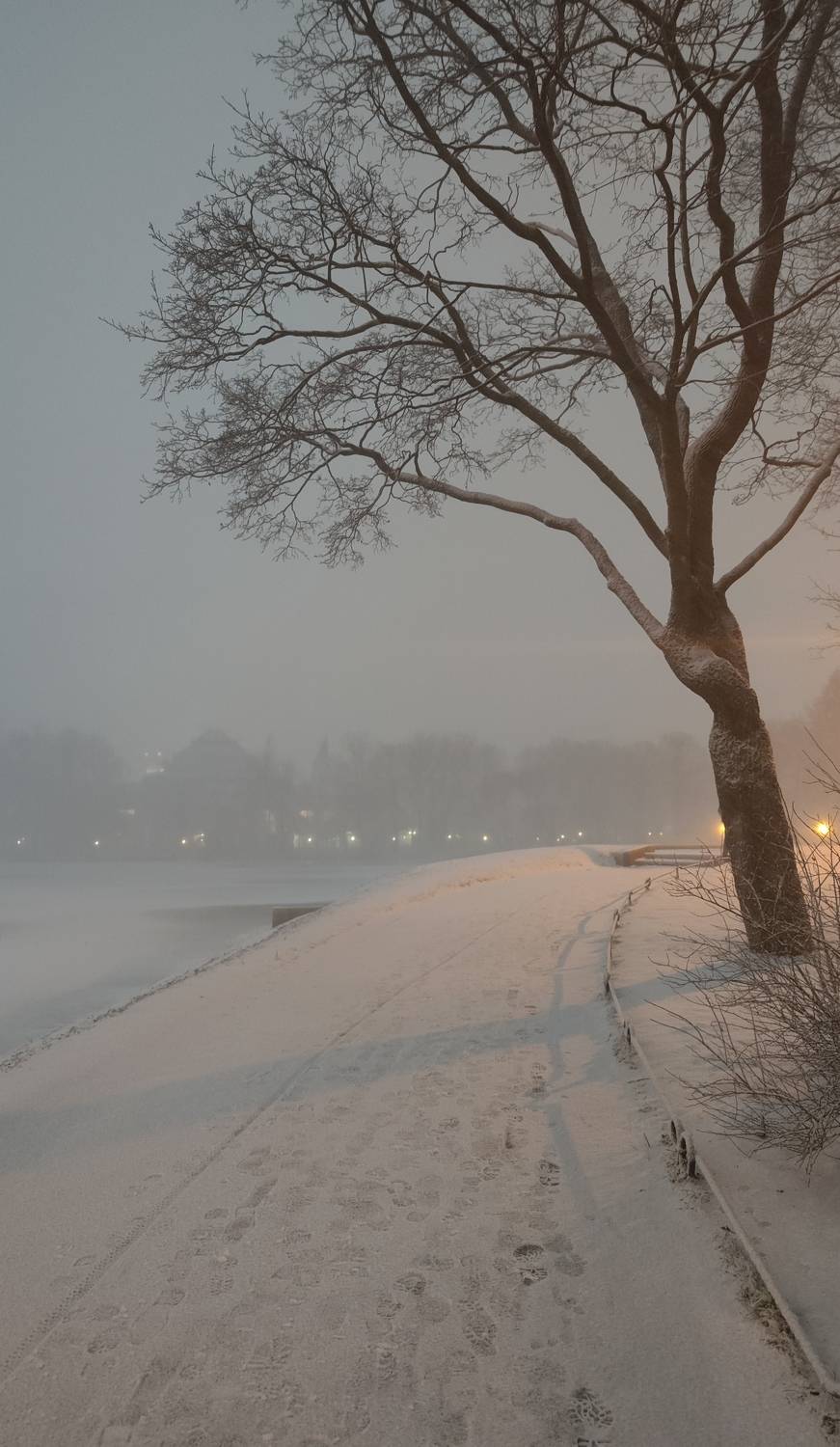 Photo #9045471