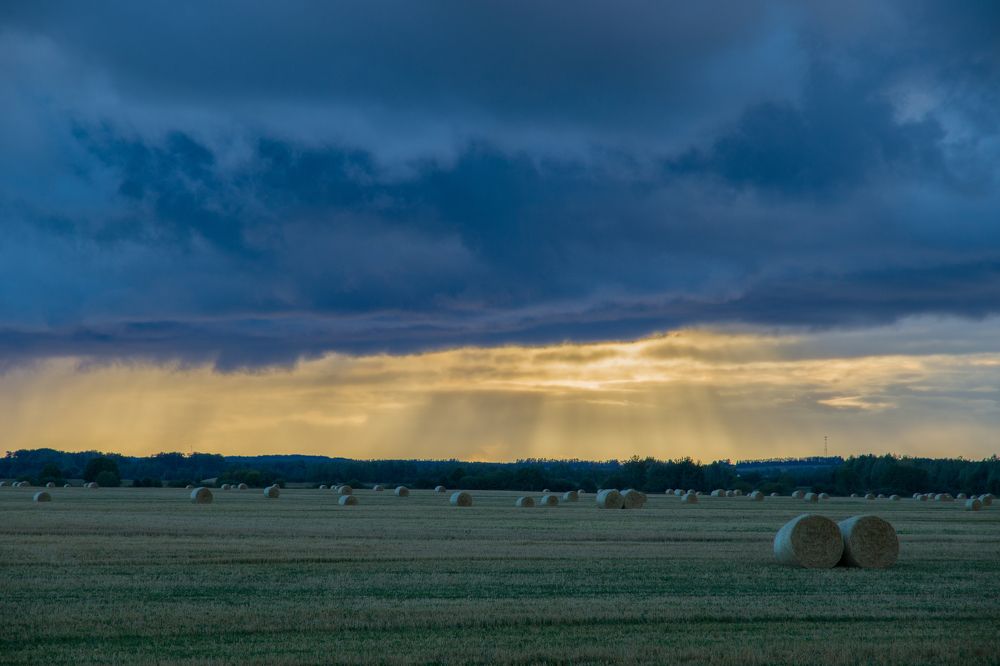 Photograph by Вячеслав