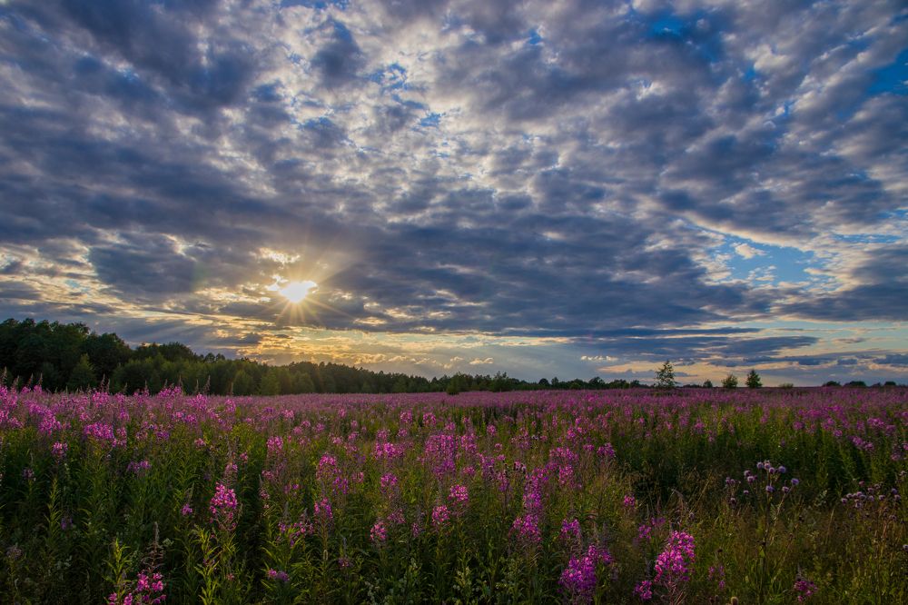 Photograph by Вячеслав