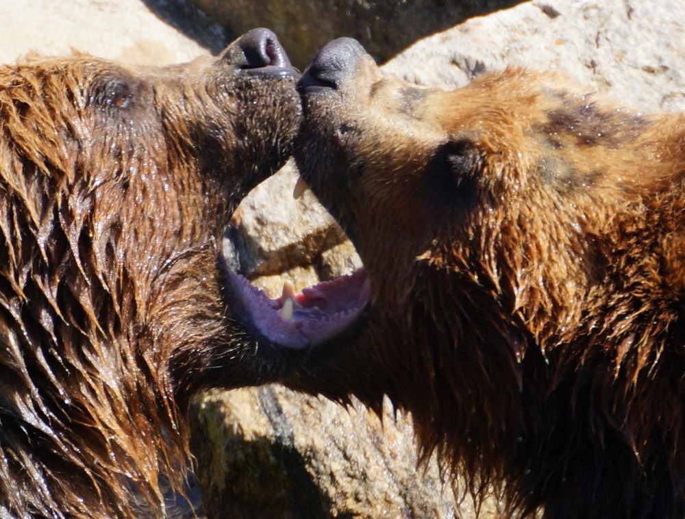 Photograph by Юрий Сычев