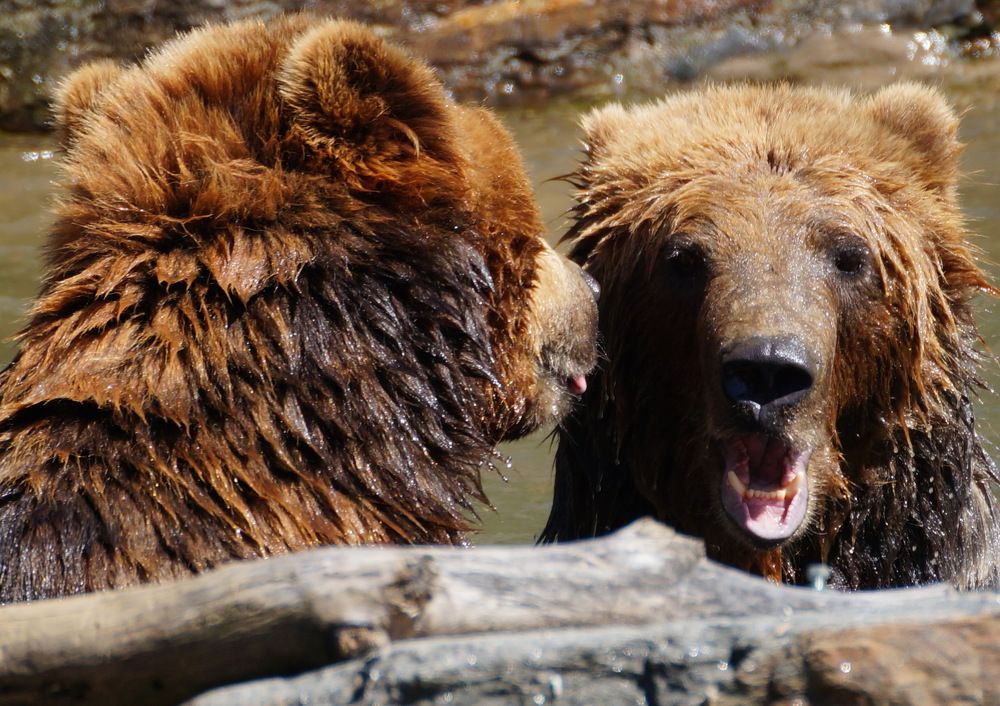 Photograph by Юрий Сычев