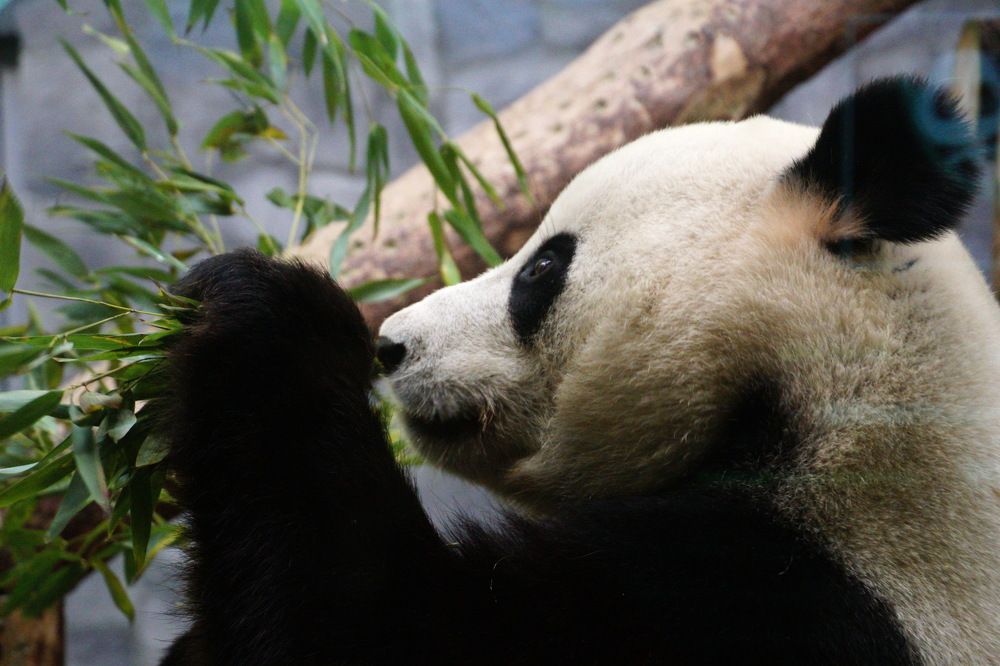 Photograph by Юрий Сычев