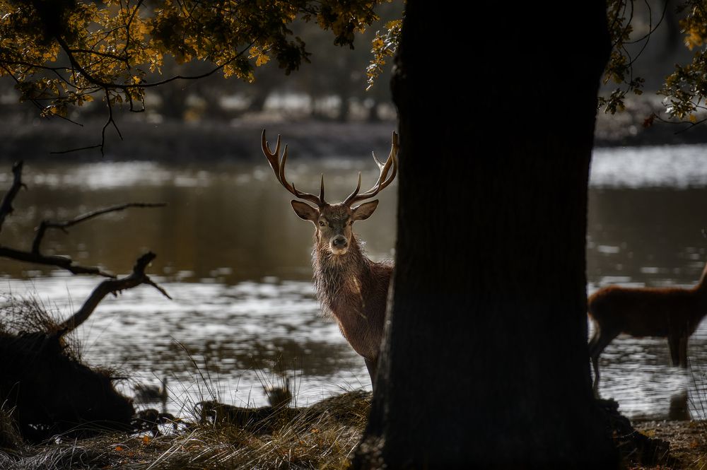 Photograph by Igor Sremac