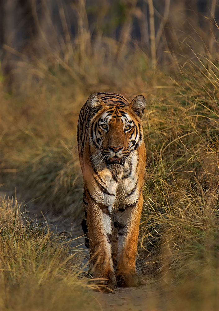 Photograph by BHAGYA D