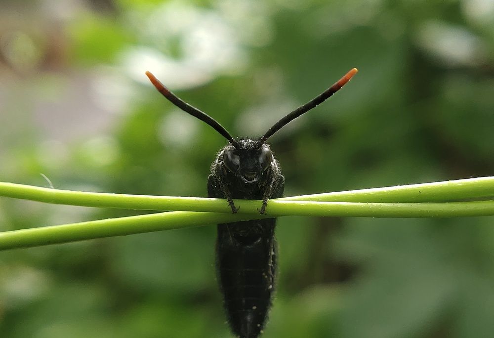 Photograph by B.Dhana sekaran