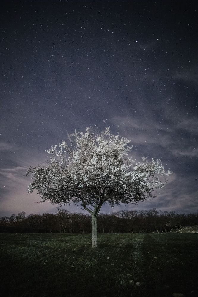 Photograph by Филипп Бабенко