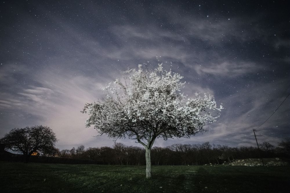 Photograph by Филипп Бабенко