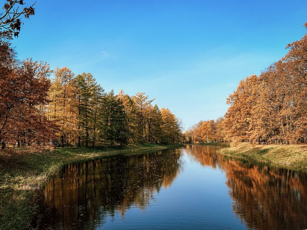 Photograph by Эльвира Мерзлякова
