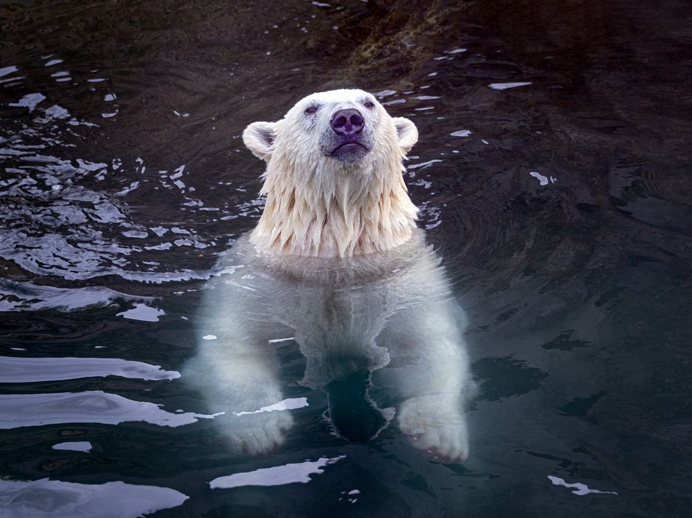 Photograph by Юрий Михайлович Головкин
