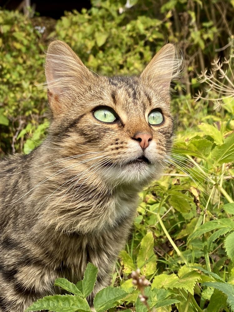 Photograph by Александр Шлюпиков