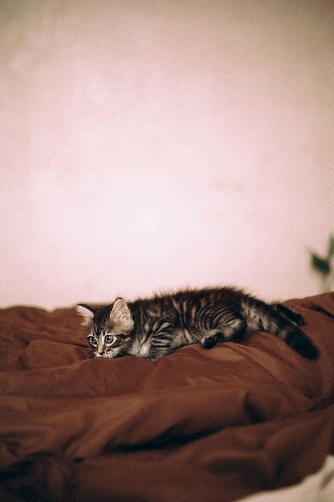 Photograph by Любовь Лычко