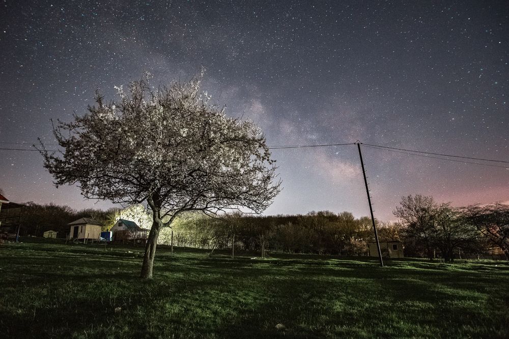 Photograph by Филипп Бабенко