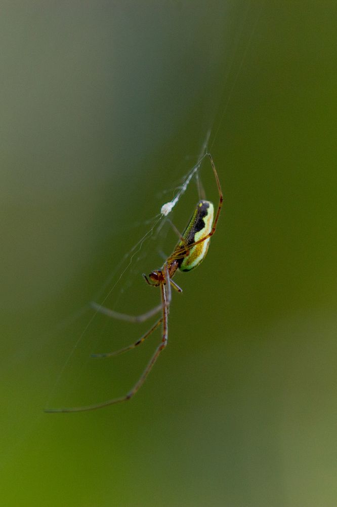 Photograph by Александр Шлюпиков