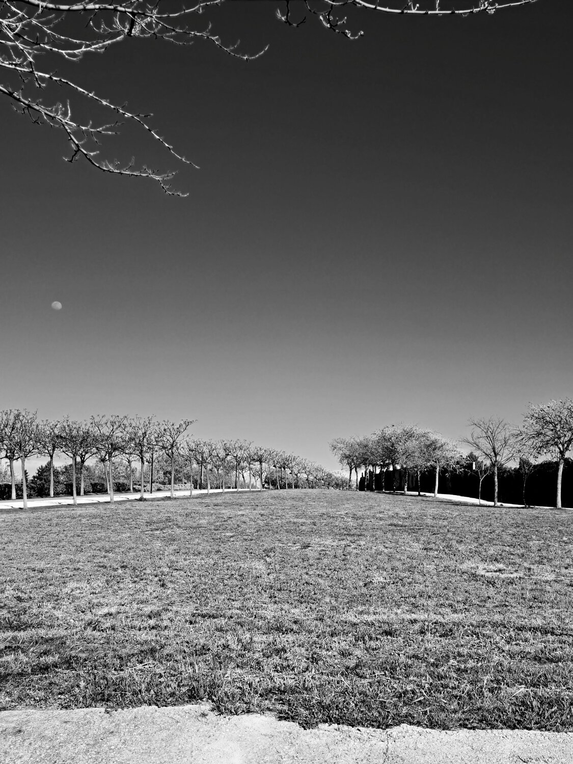 Photo #9045674