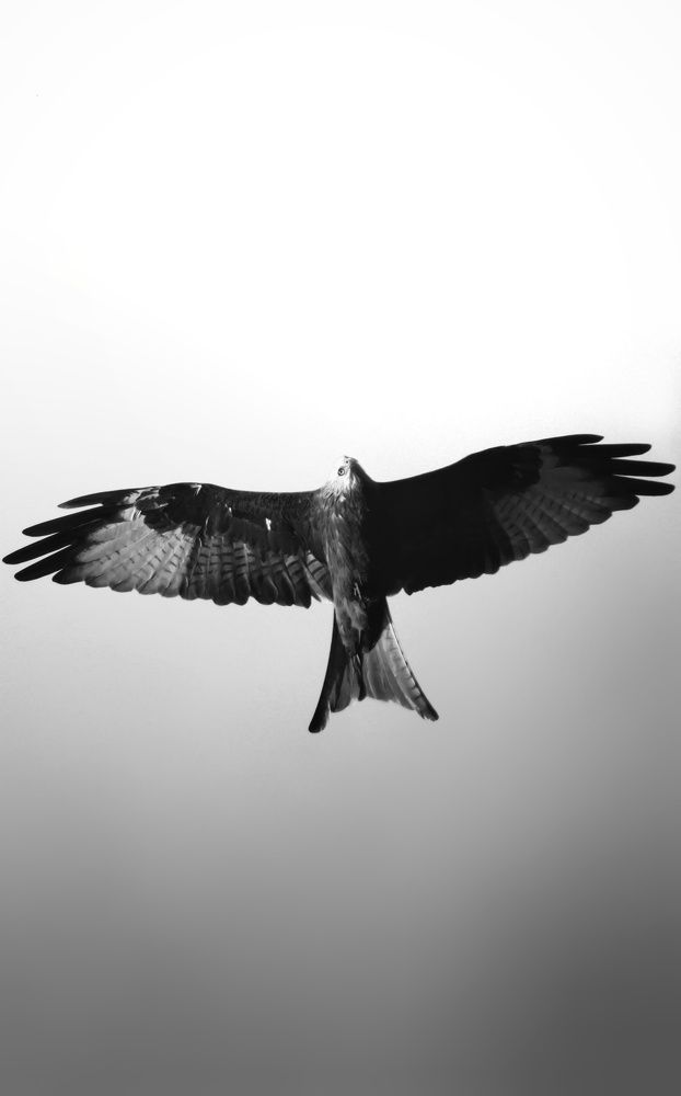 Photograph by Marc Schöner