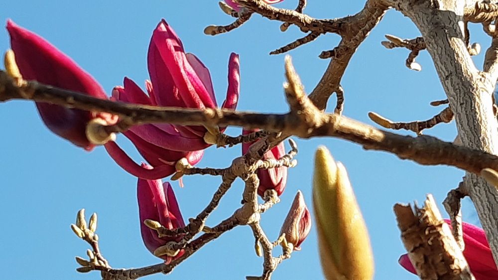 Photograph by Suzana Cakciri