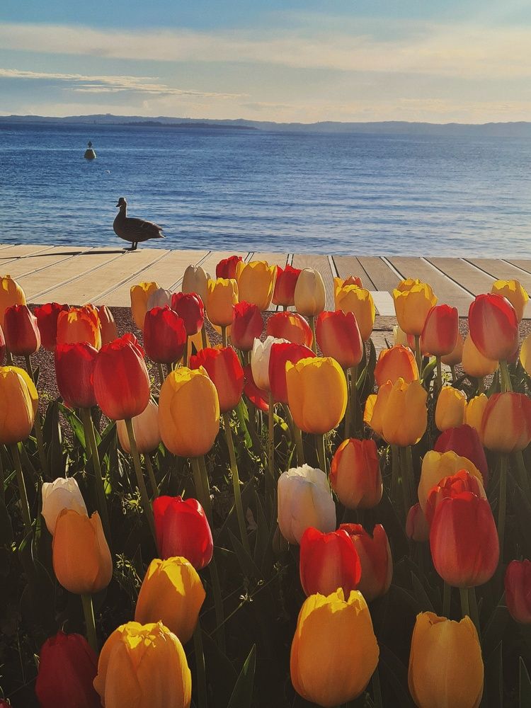 Photograph by Yulia Bilato