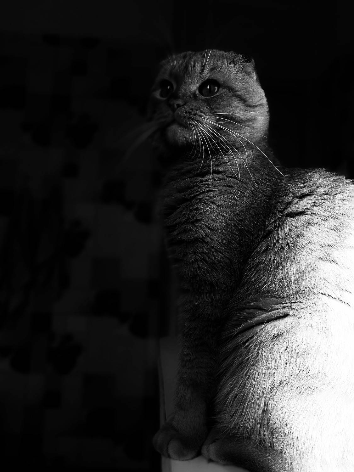 Photo #9045953