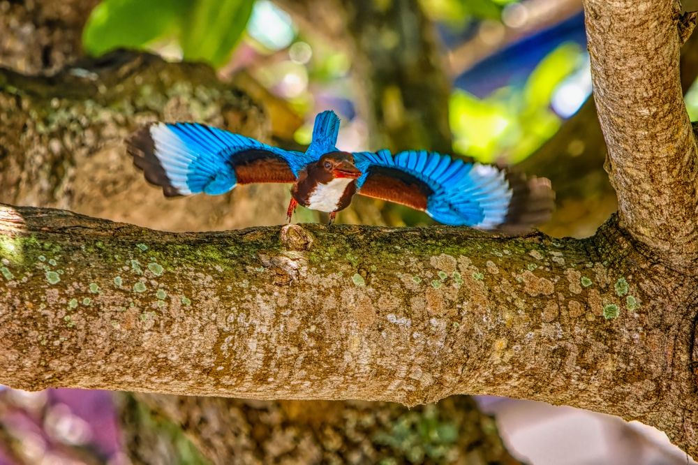 Photograph by Сергей Аллагулов