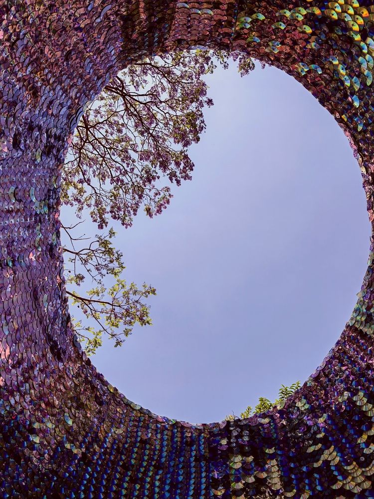 Photograph by Virginia Azocar