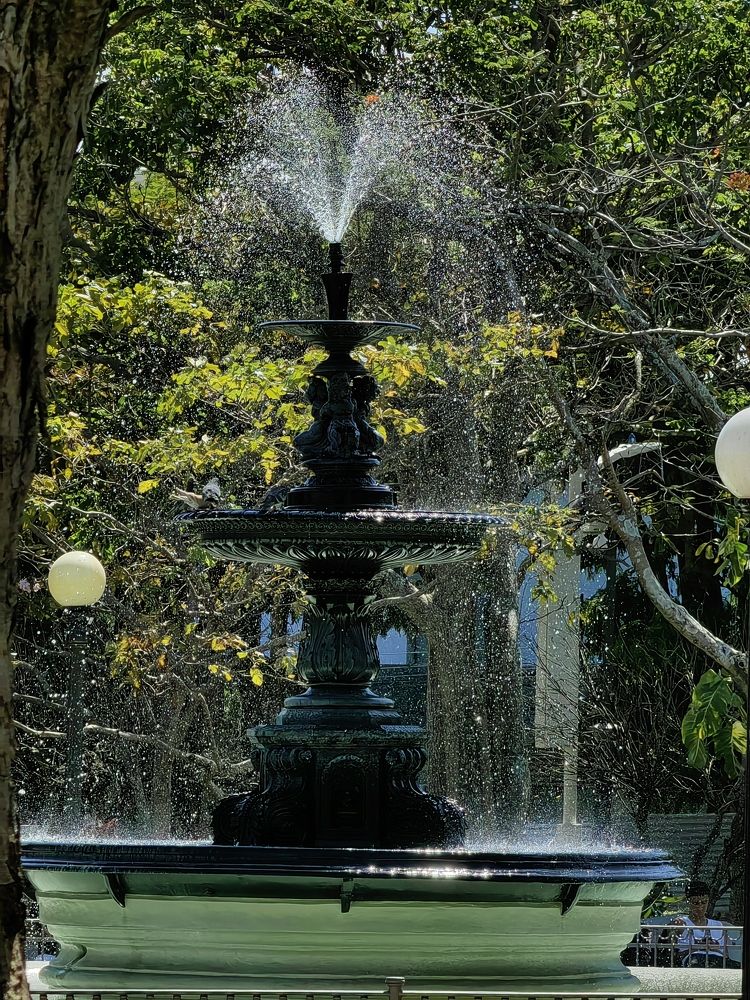 Photograph by Virginia Azocar