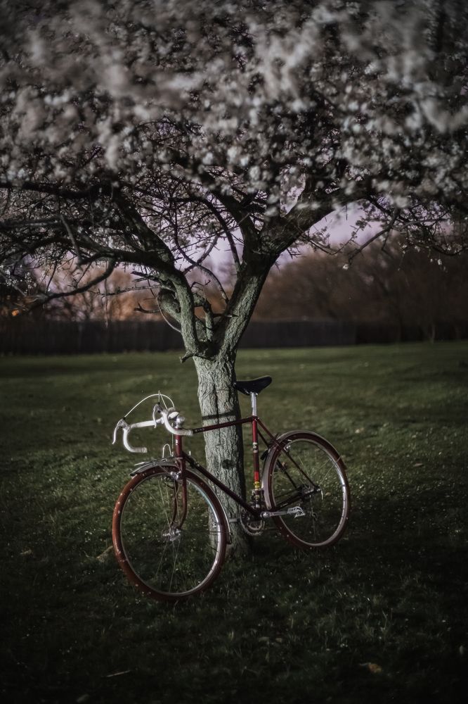 Photograph by Филипп Бабенко