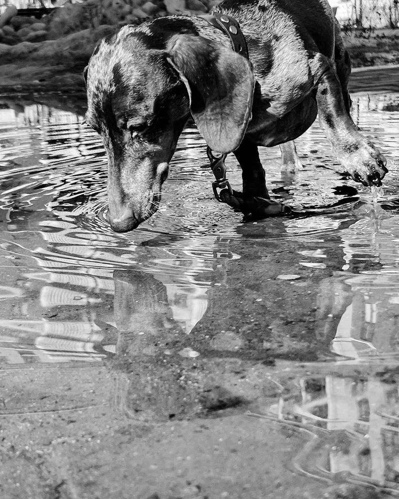 Photograph by Анастасия Иванова