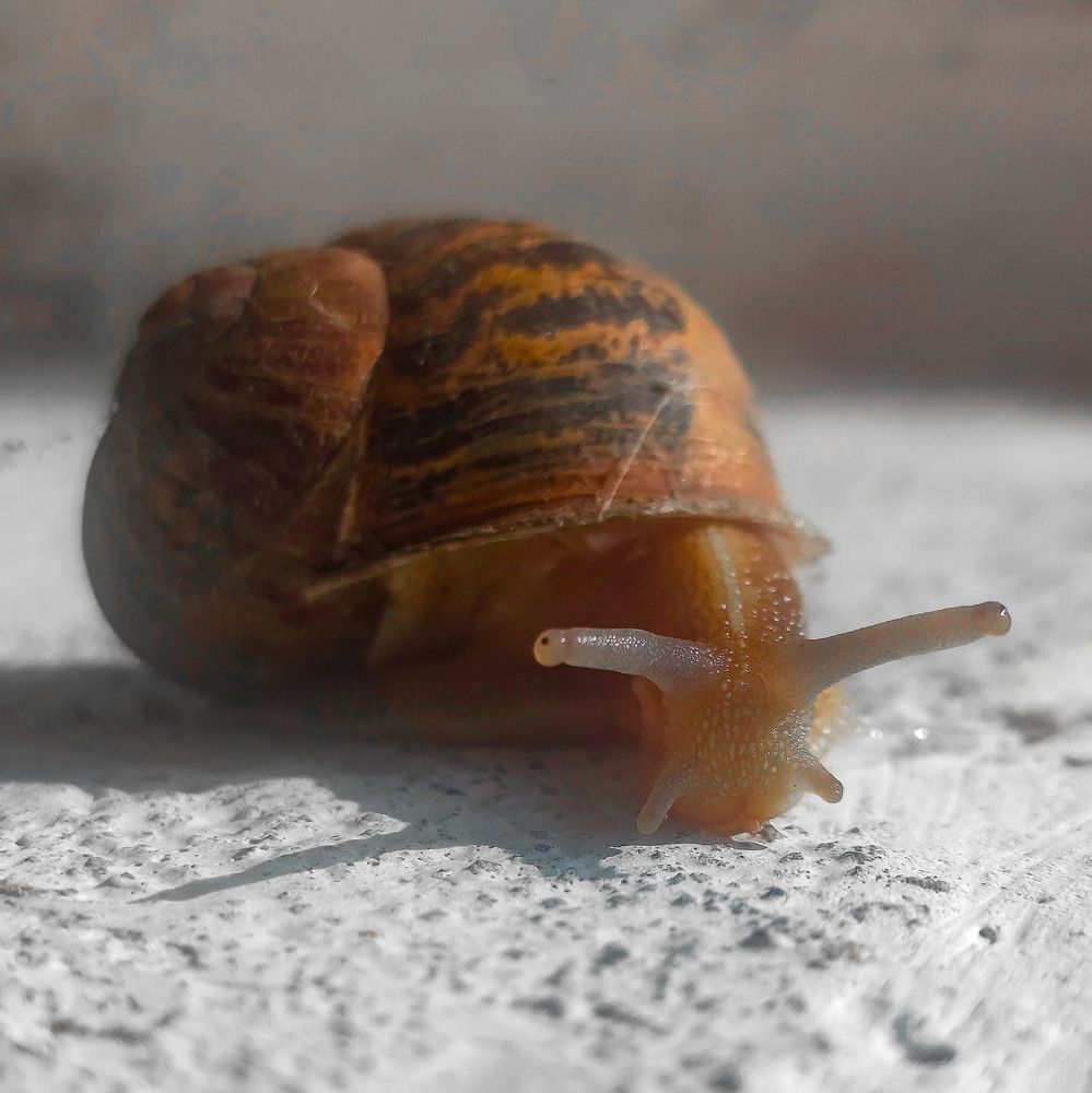 Photograph by Marcelo Espinosa