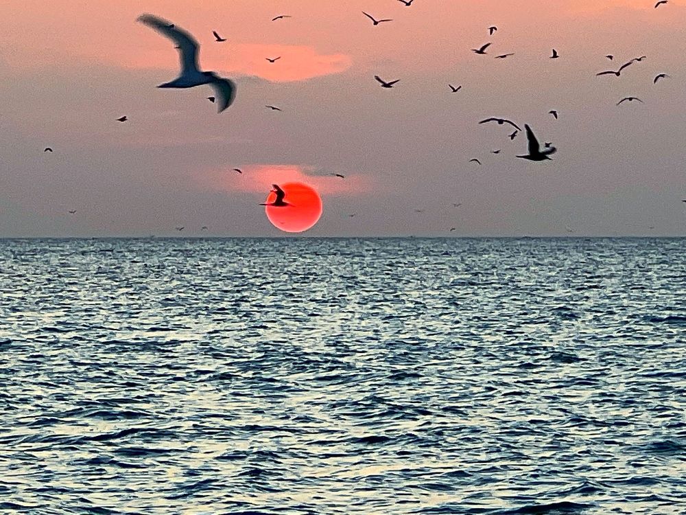 Фотография автора Olga Klyueva