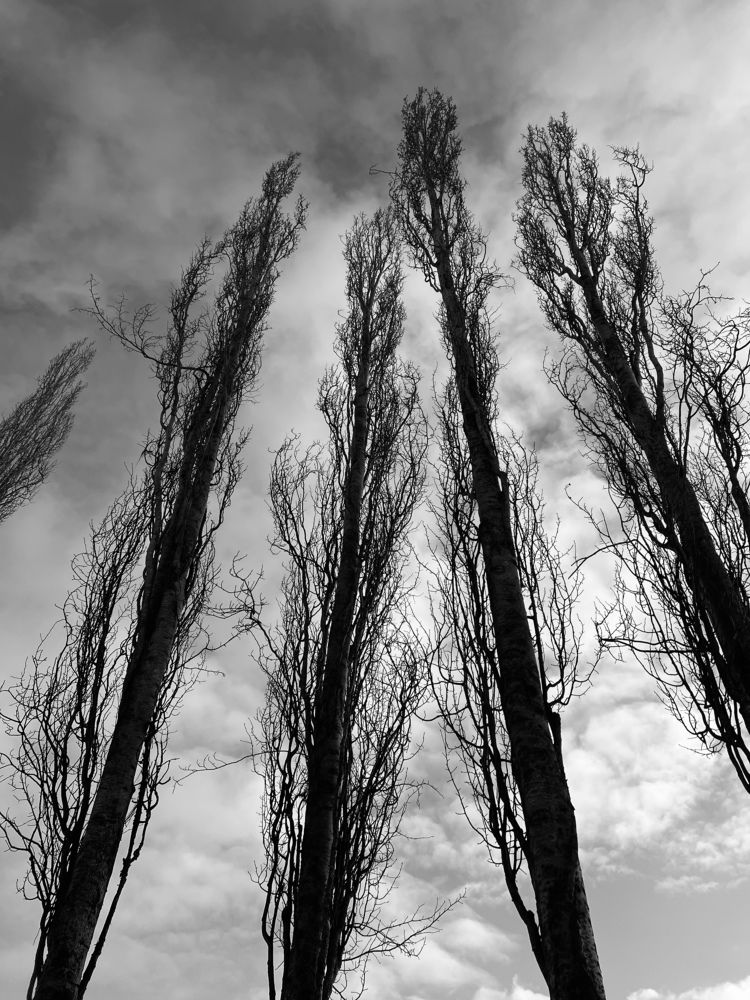 Photograph by Alexandra