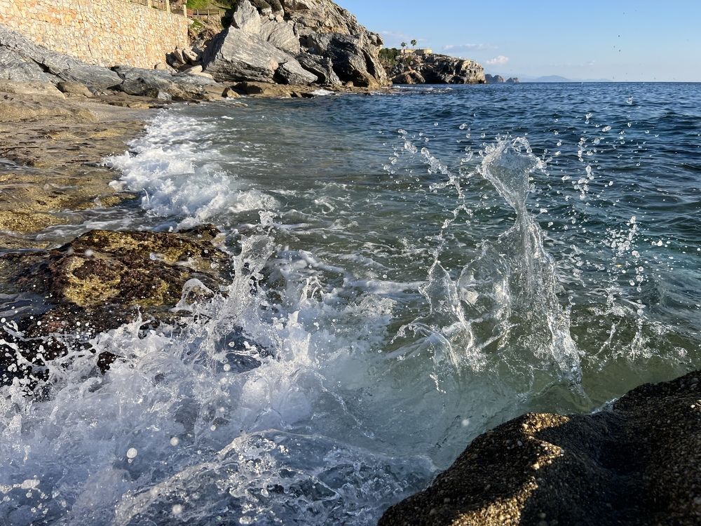 Photograph by Tatyana Ünal