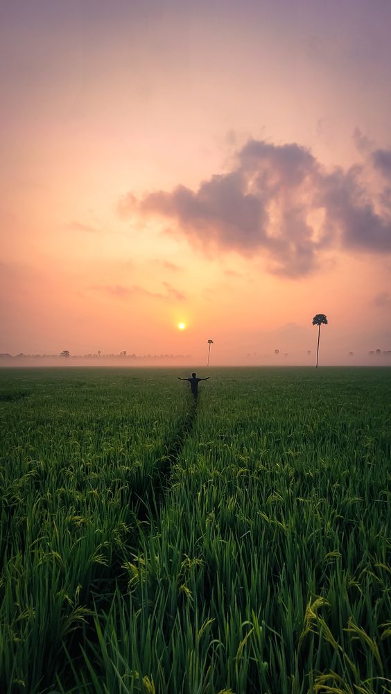 Фотография автора Mahesh babu Pitani