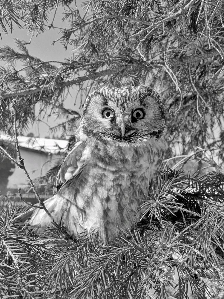 Photograph by Александра Королёва