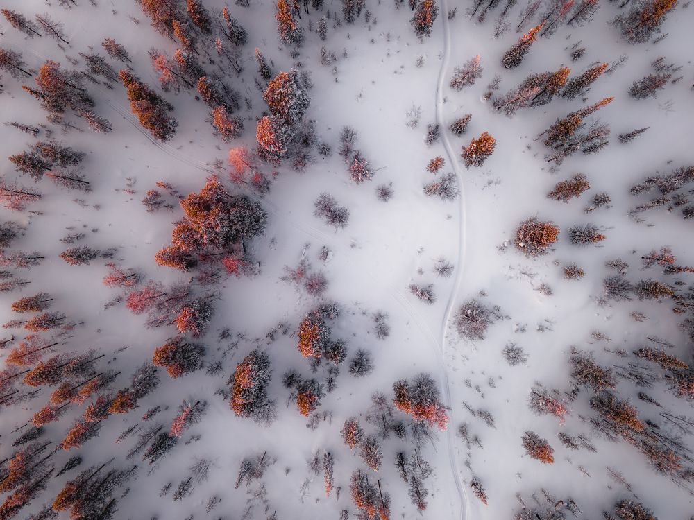 Photograph by Дмитрий Шавловский