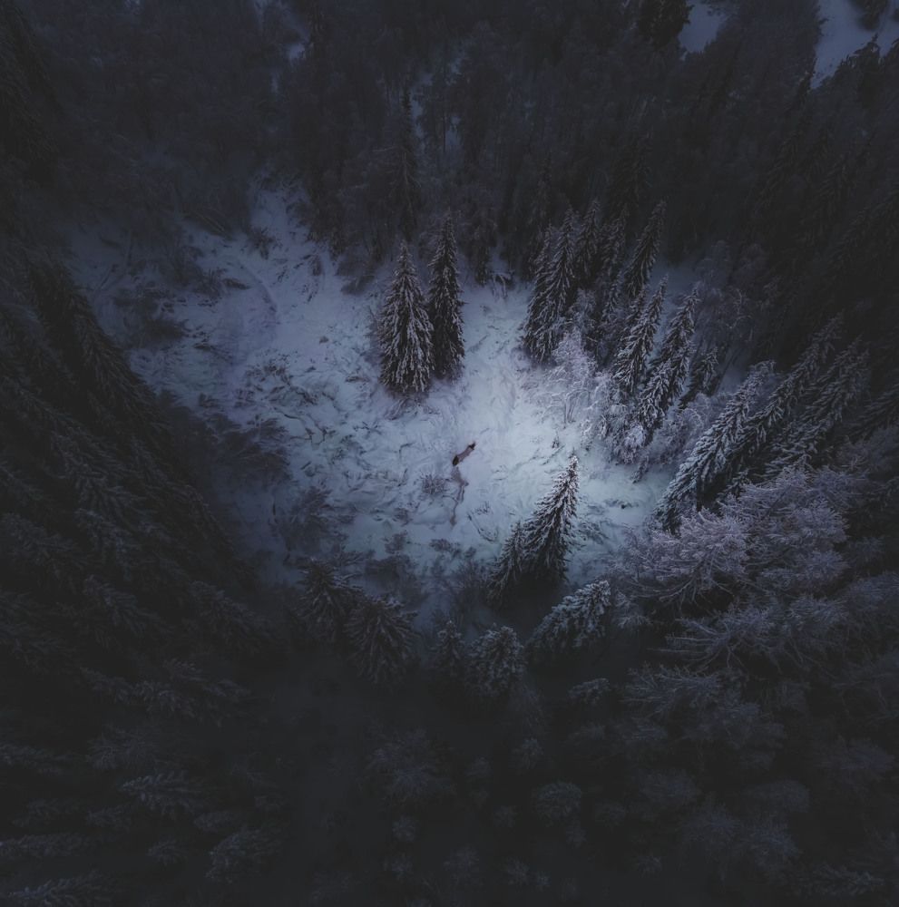 Photograph by Дмитрий Шавловский