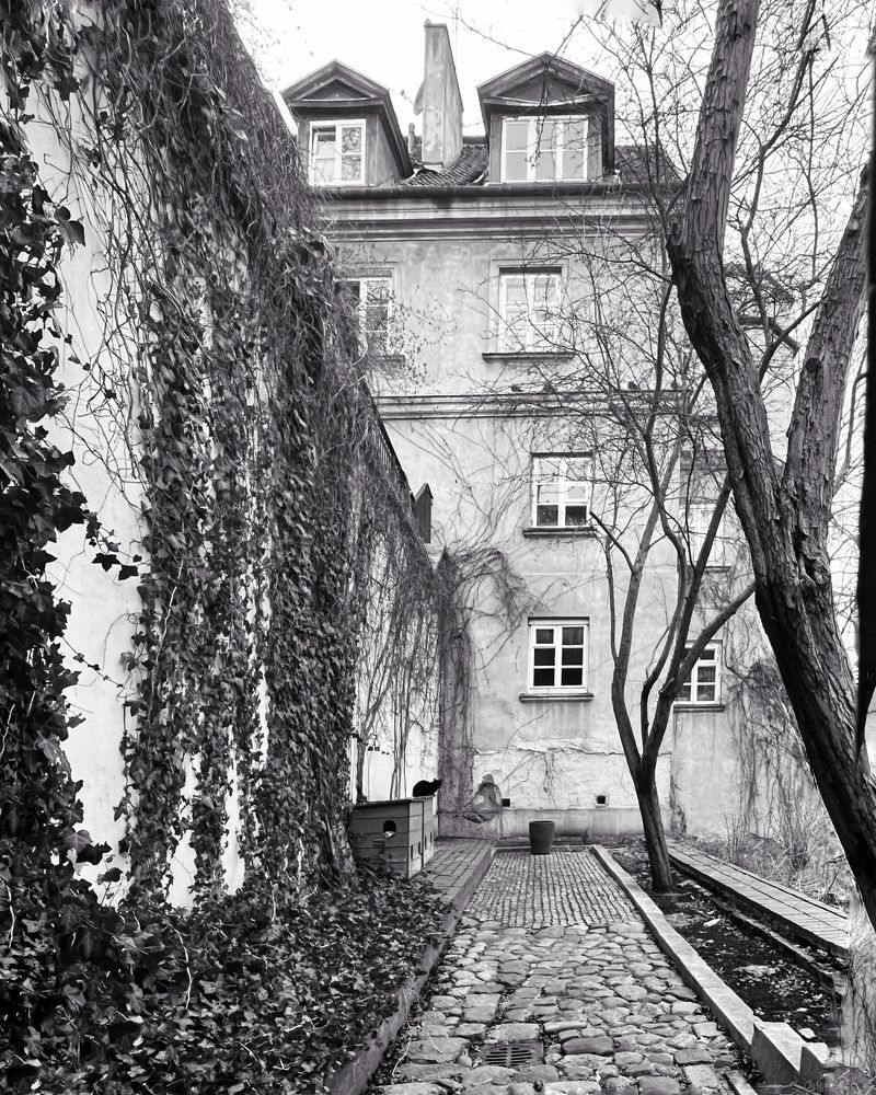 Photograph by Галина