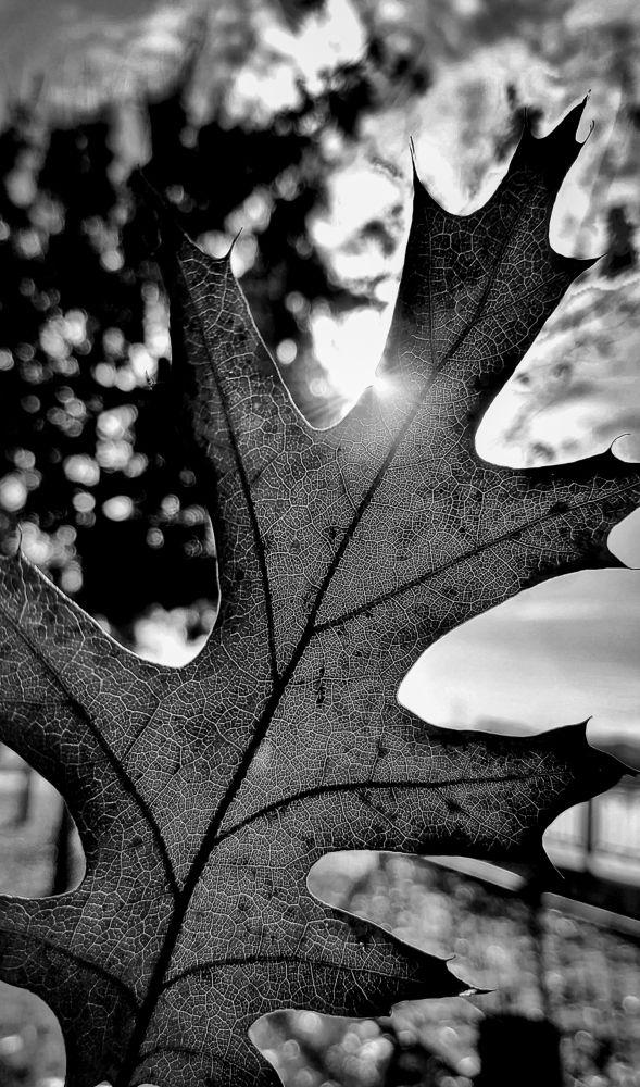 Photograph by Оксана Климова