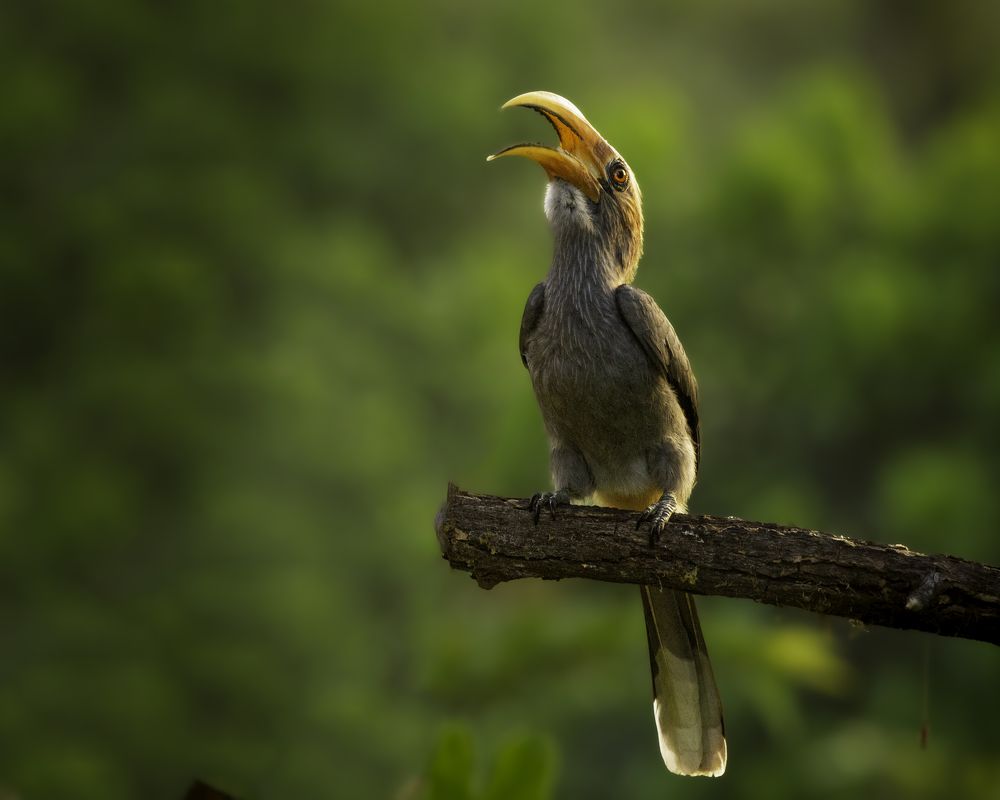 Photograph by Vinod Jagan