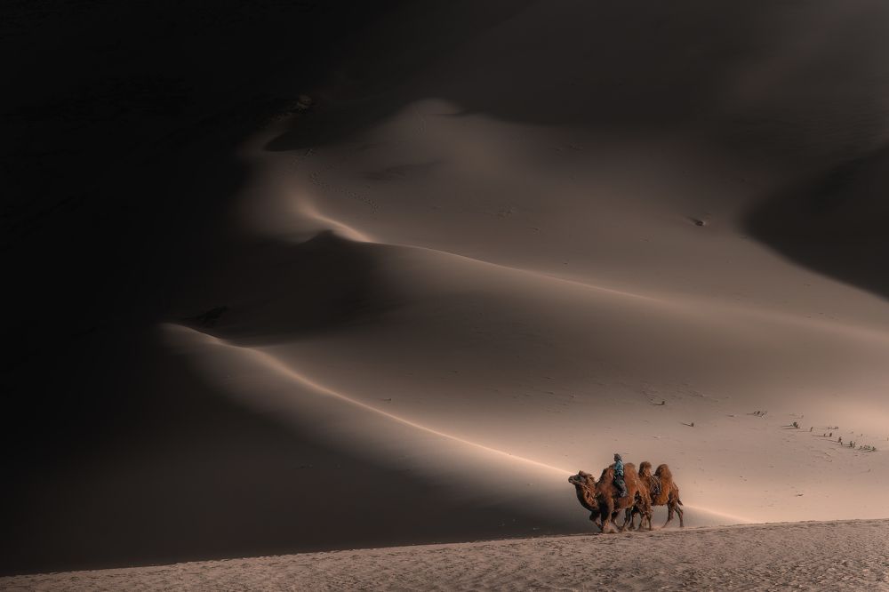 Photograph by Александр Ипполитов