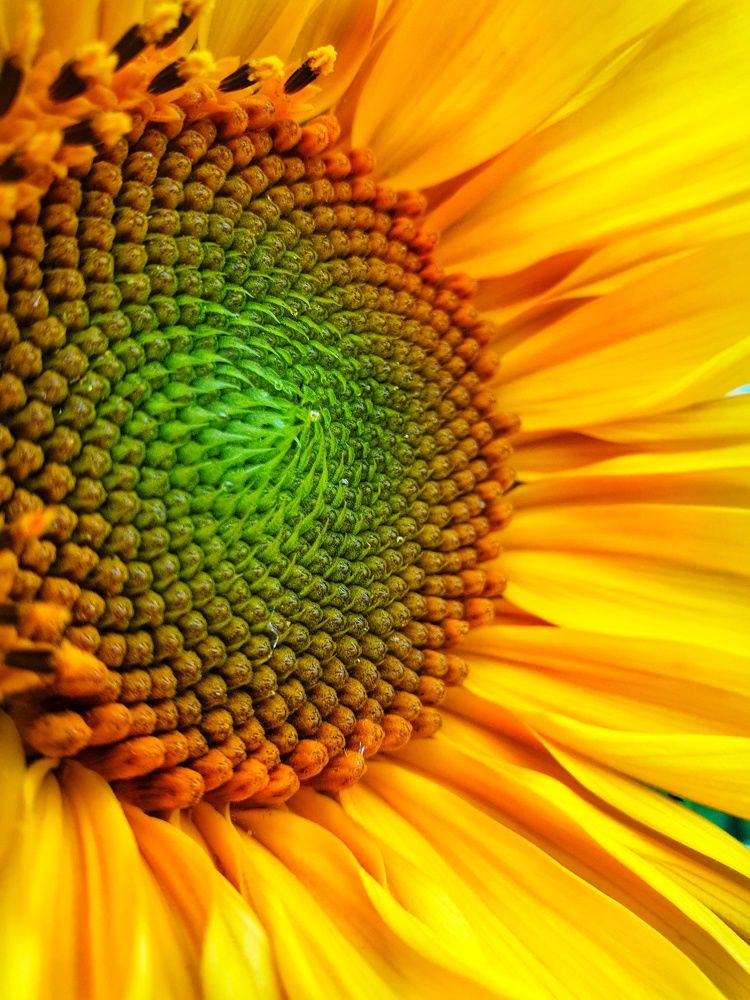 Photograph by Елена Федоткина