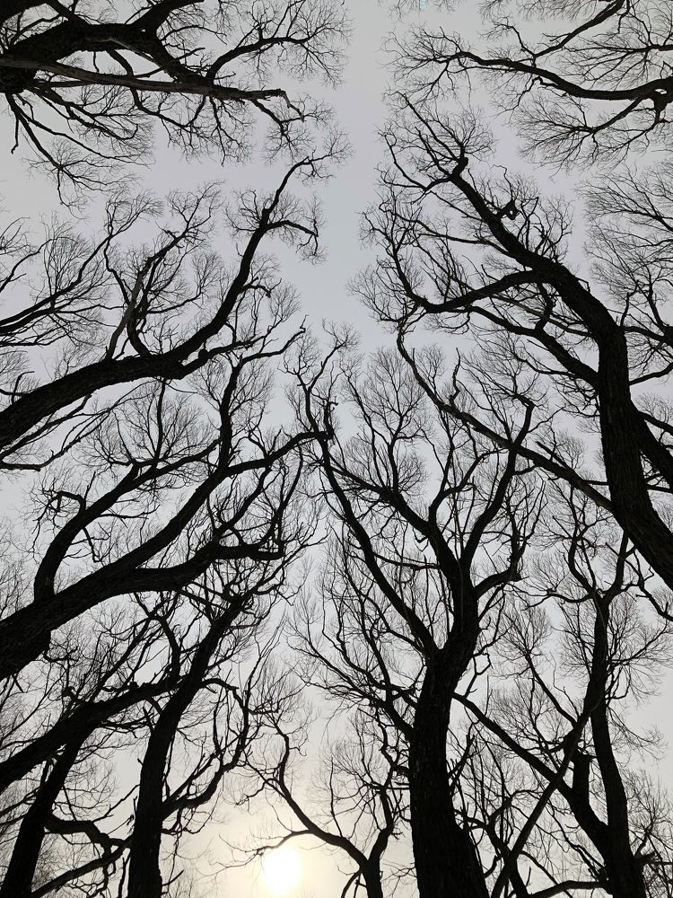 Photograph by Римма Большакова