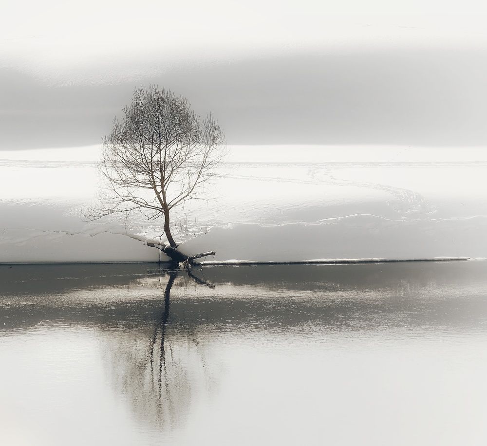 Photograph by Алексей Власов