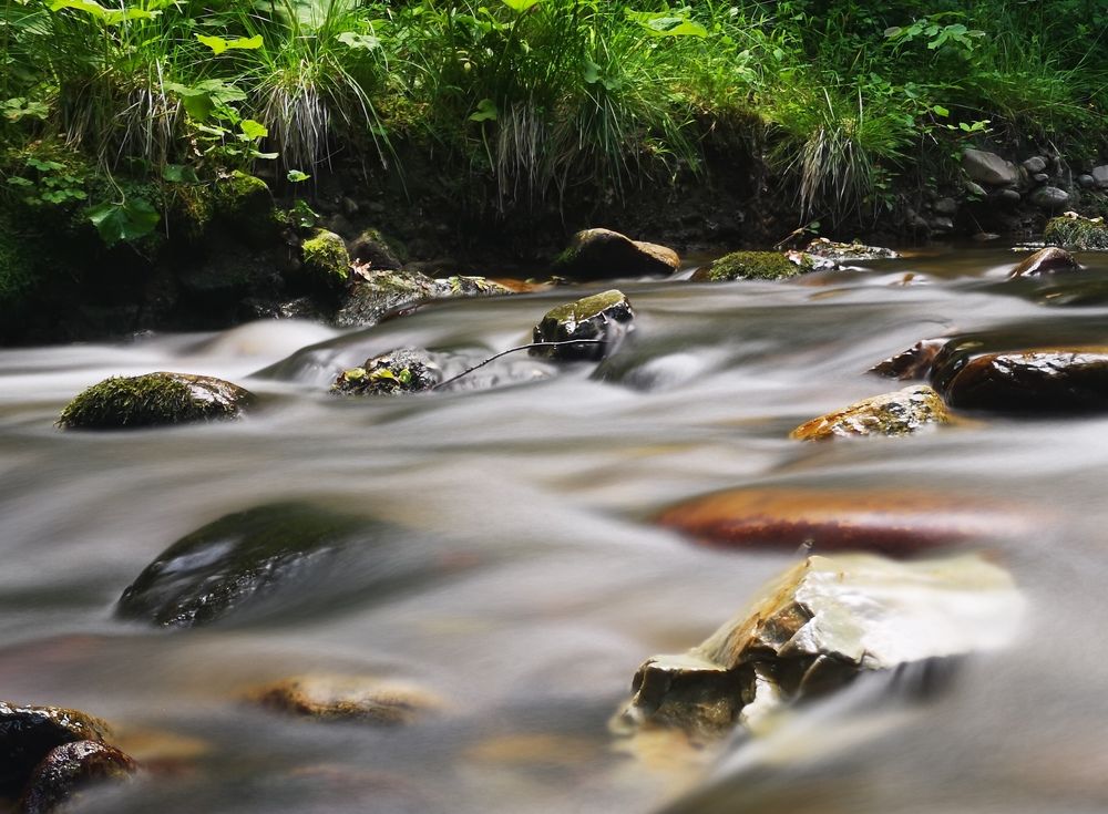 Photograph by Alen Brkić