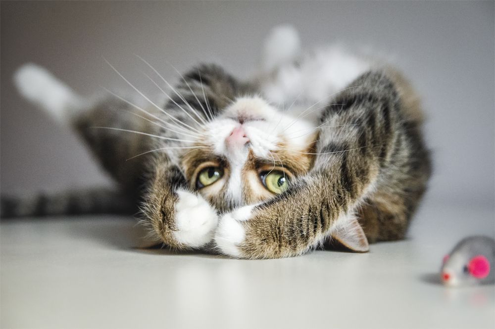 Photograph by Ирина Андрианова