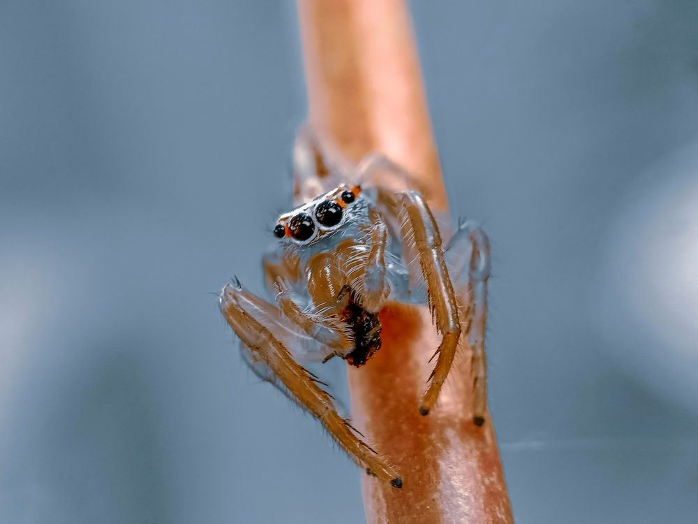 Photograph by Feri Fikri